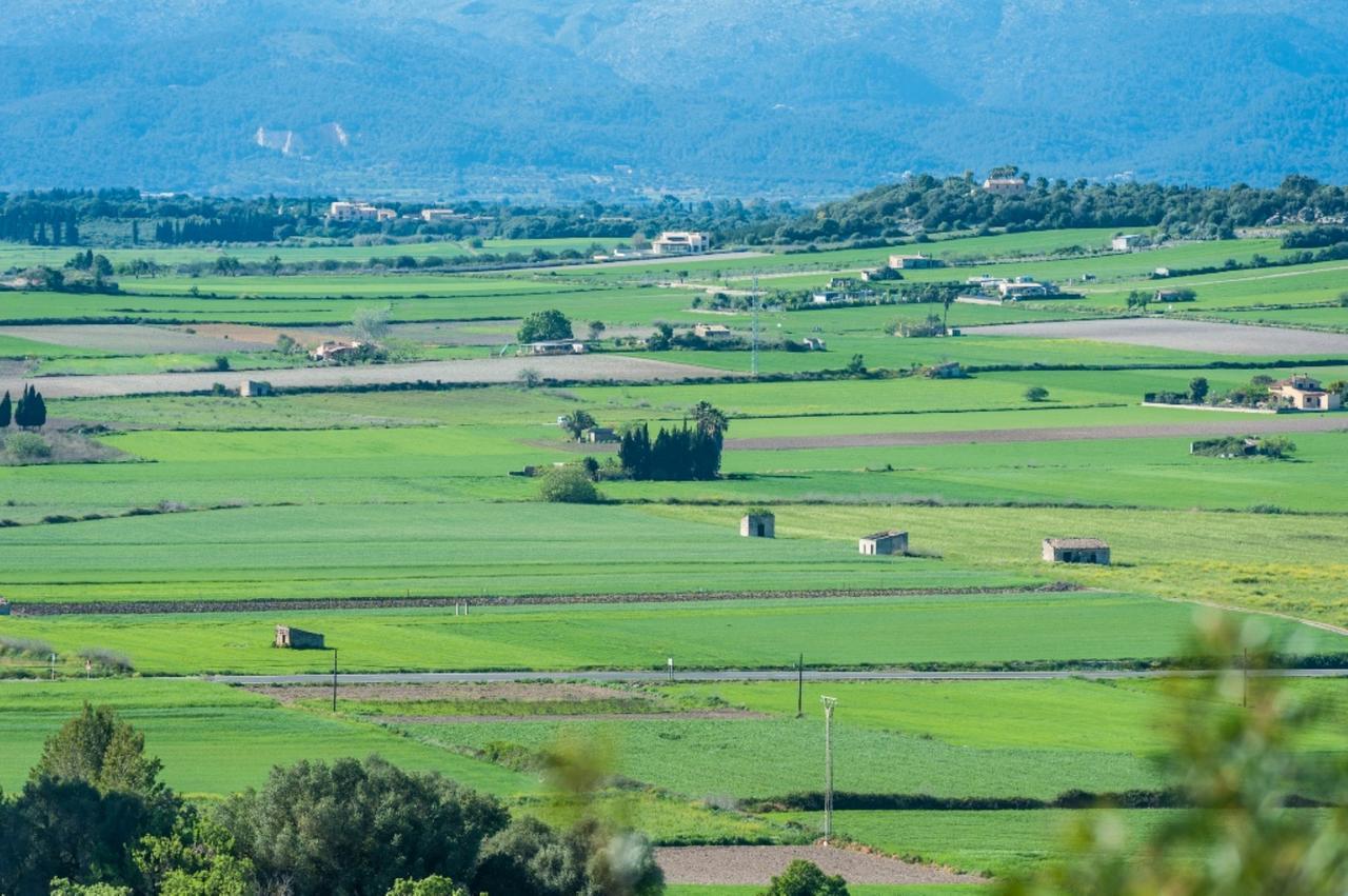 Villa Santa Margalida Kültér fotó