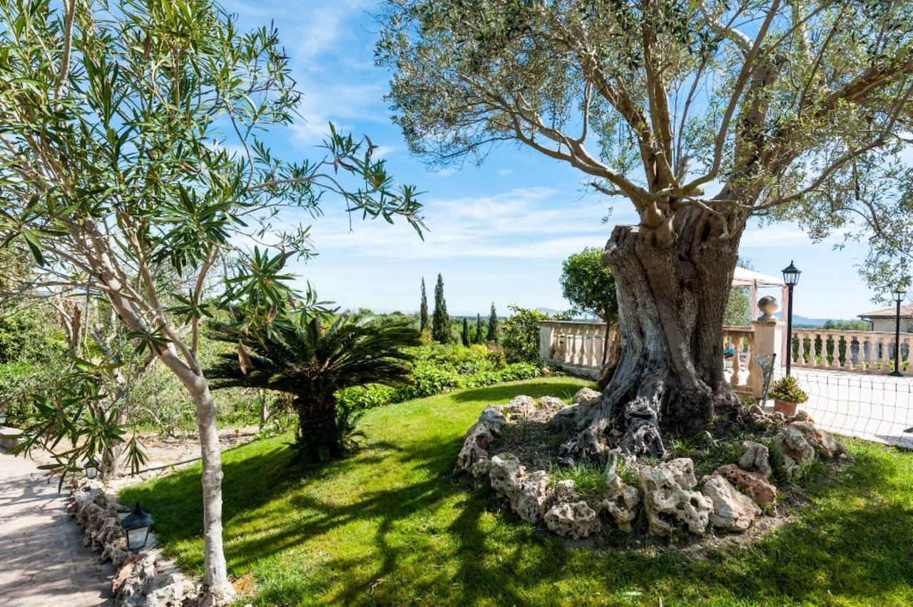 Villa Santa Margalida Kültér fotó
